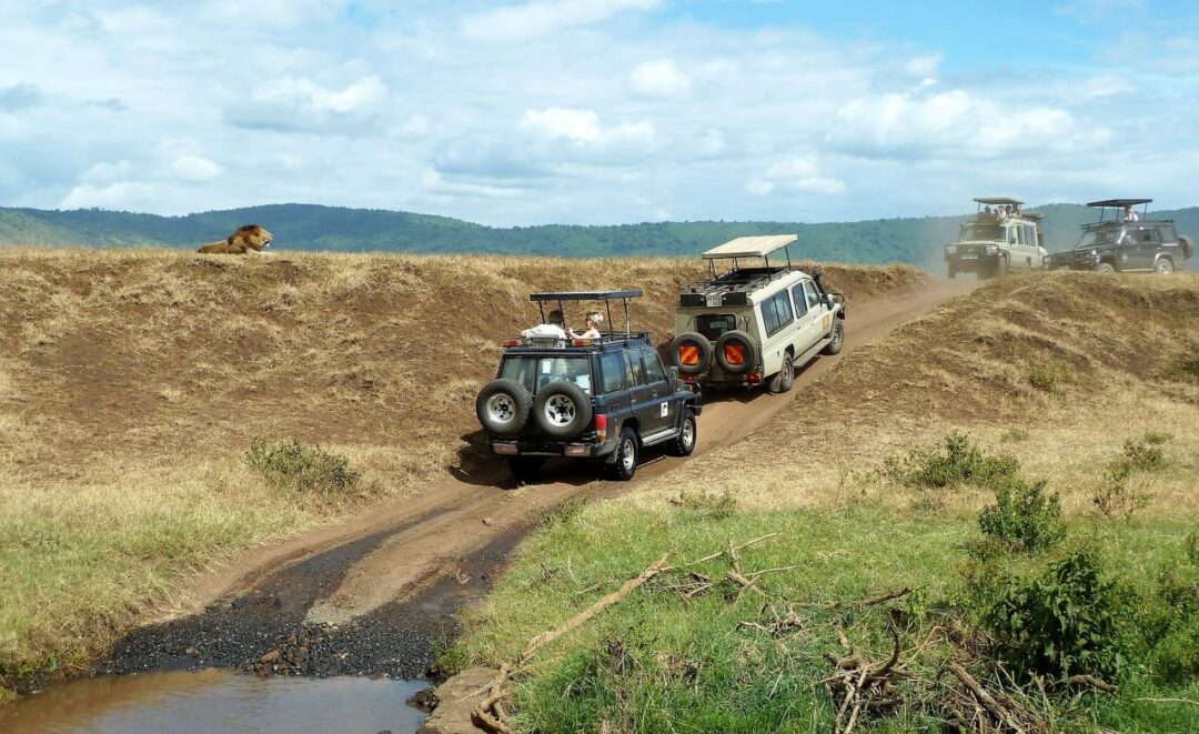 safari en Tanzanie_senior