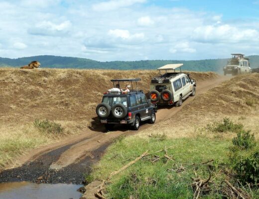 safari en Tanzanie_senior